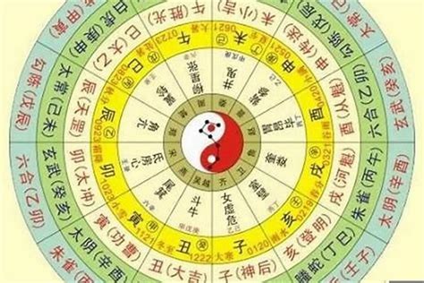 八字代表|生辰八字算命、五行喜用神查询（免费测算）